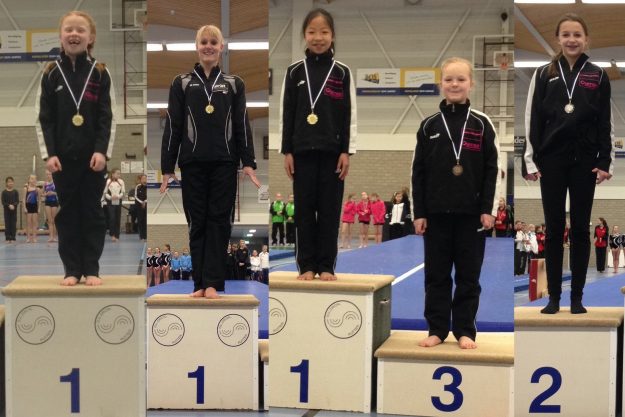 170114 Collage winnaars