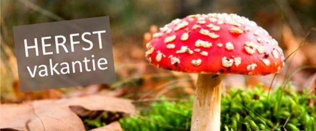 44060628_2158111290907303_5465608422625902592_n