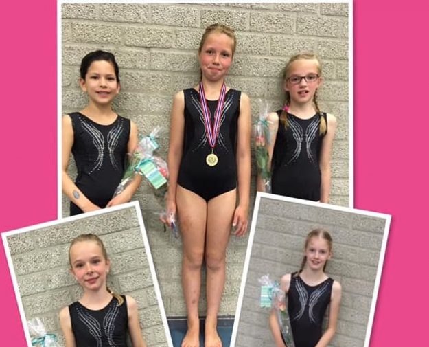 61274211_2496225627095866_6475248697251725312_n